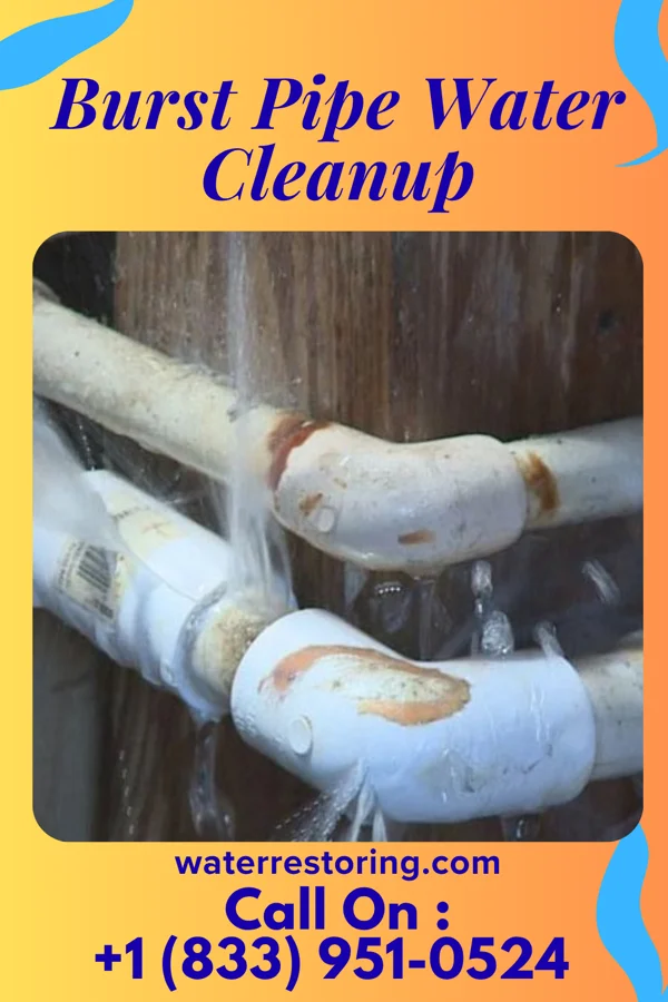 Burst Pipe Water Cleanup in Seattle, WA