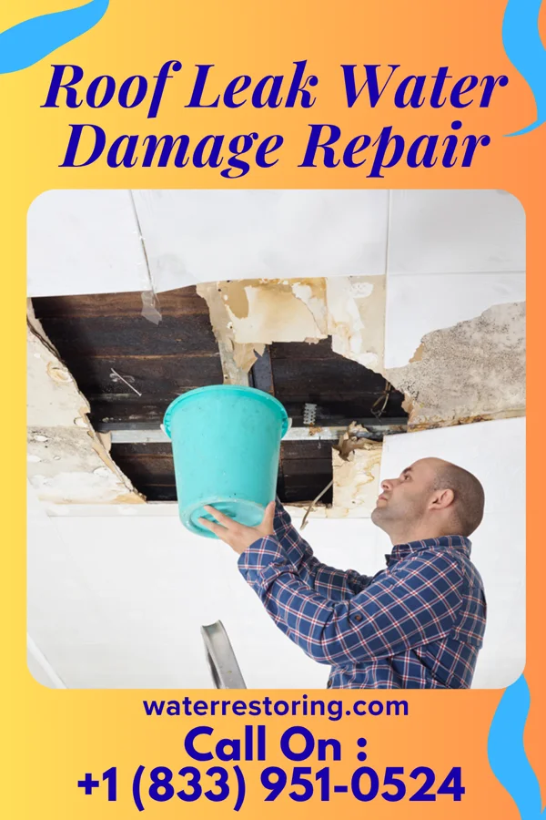 Roof Leak Water Damage Repair in Seattle, WA