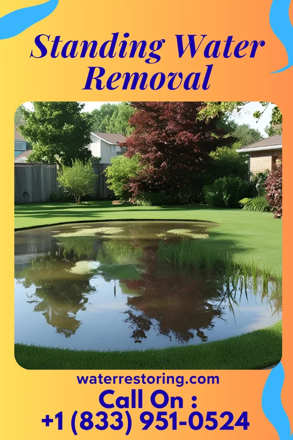 Standing Water Removal in Seattle, WA
